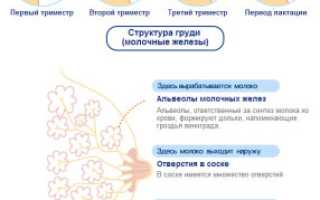 Выделения из грудных желез при беременности – стоит ли беспокоиться