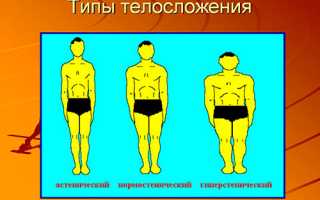 Конституциональный Тип Пульсатилла — Полное Описание