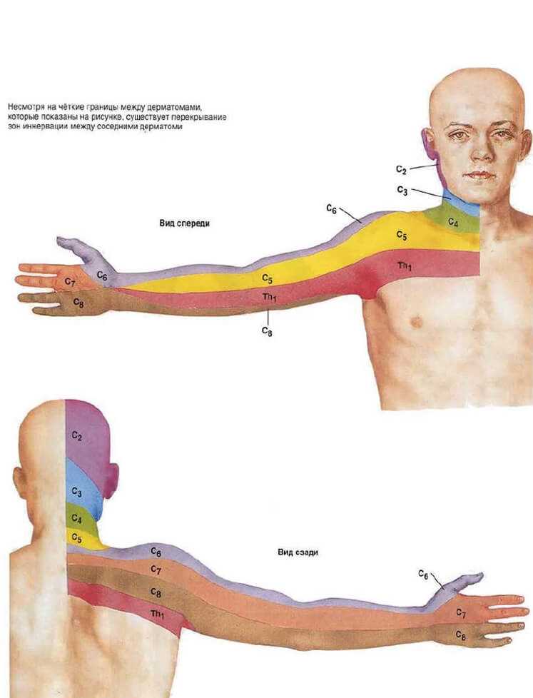 Эффективные методы лечения грыжи для облегчения боли и дискомфорта