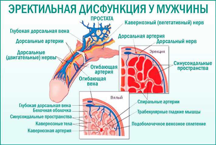 Как сохранить эмоциональное здоровье при грыже и справиться с депрессией