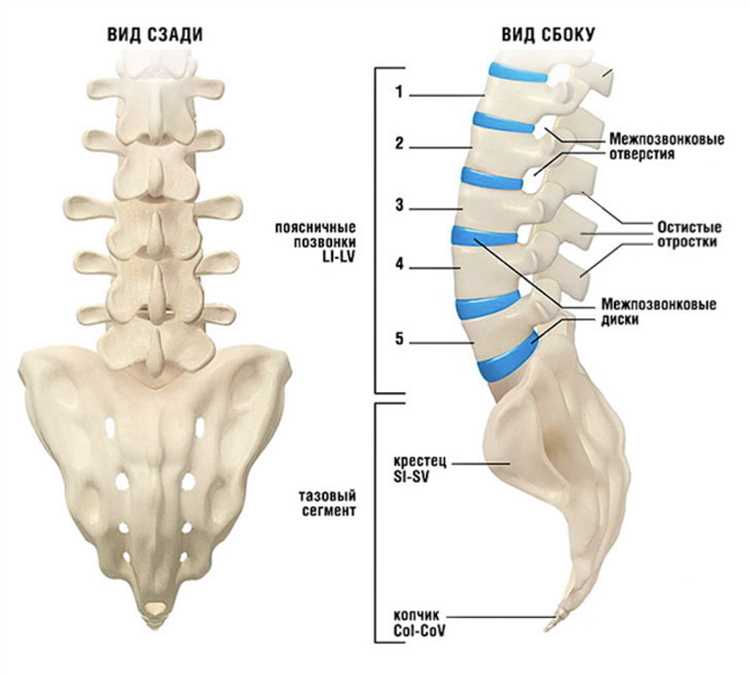 Грыжа симптомы диагностика и современные методы лечения