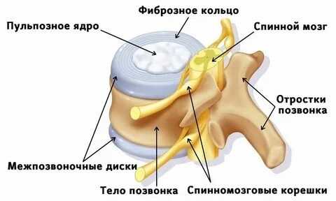 Привычки ухудшающие состояние при грыже
