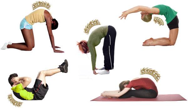 комплекс упражнений