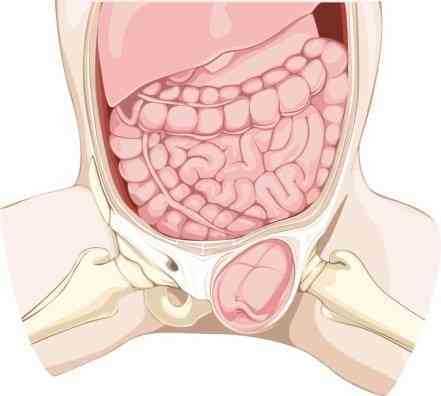 Как распознать грыжу на ранних стадиях советы и рекомендации