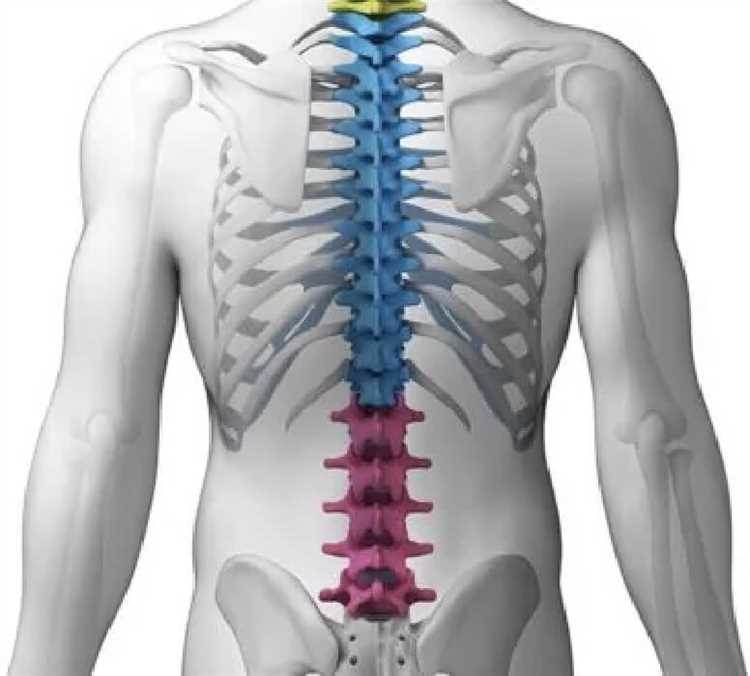 Основные симптомы грыжи и их особенности