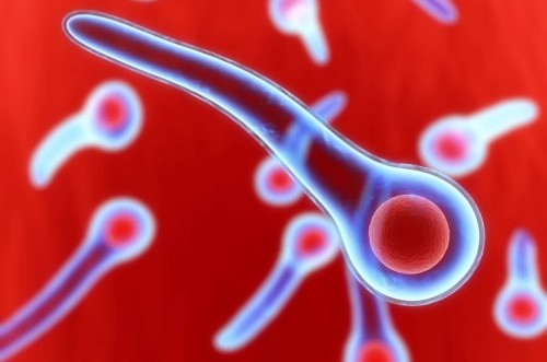 столбнячная палочка