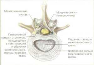 Как минимизировать риски травм и грыжи для сохранения здоровья